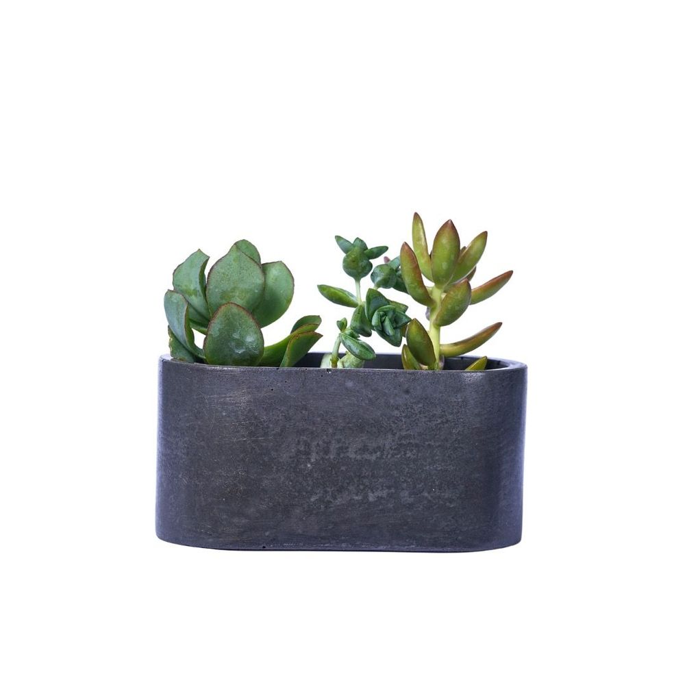 Jardinières - Jardinière en béton coloré - JUNNY