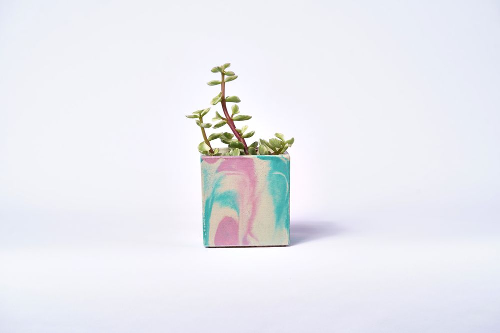 Objets de décoration - POT EN BÉTON TIE&DIE POUR PLANTE VERTE - JUNNY