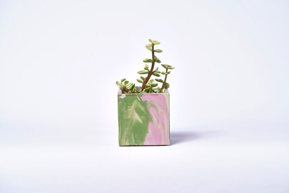 Objets de décoration - POT EN BÉTON TIE&DIE POUR PLANTE VERTE - JUNNY