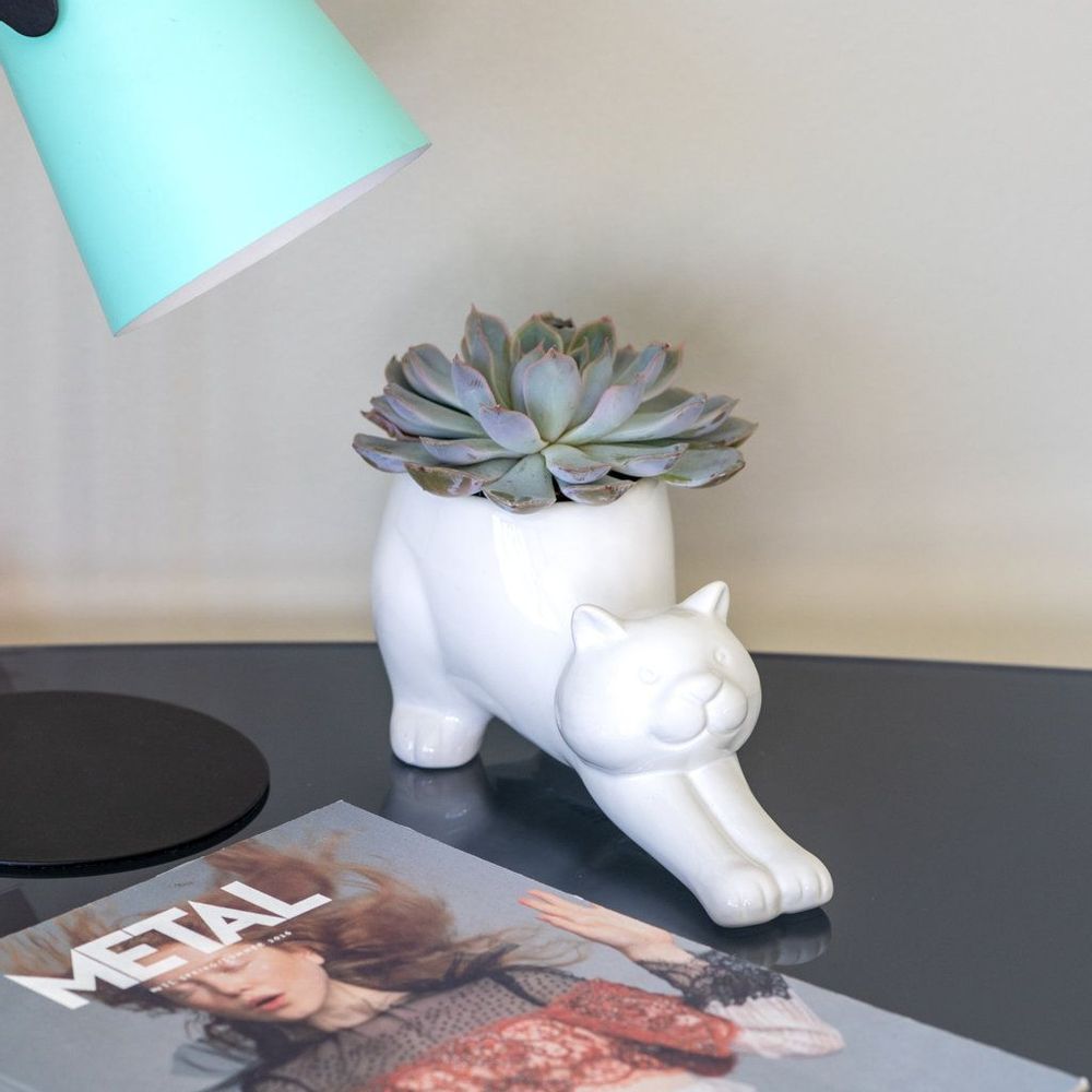 Accessoires de déco extérieure - Pots de plantes pour - FISURA