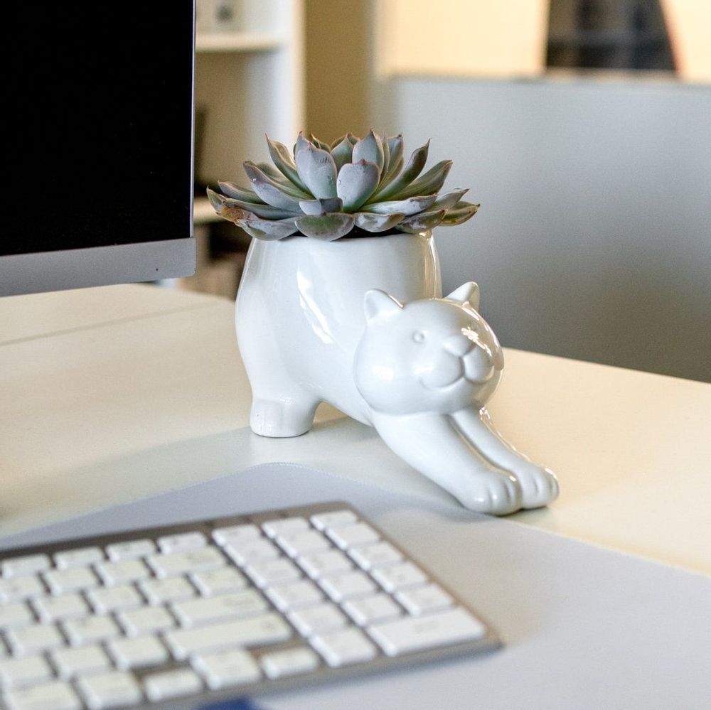 Accessoires de déco extérieure - Pots de plantes pour - FISURA