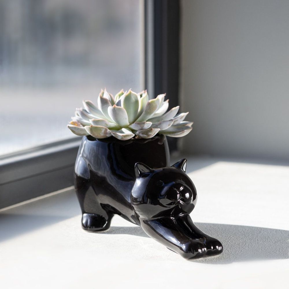 Accessoires de déco extérieure - Pots de plantes pour - FISURA