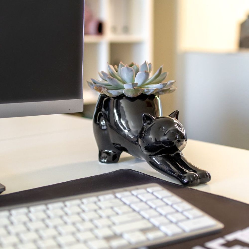 Accessoires de déco extérieure - Pots de plantes pour - FISURA