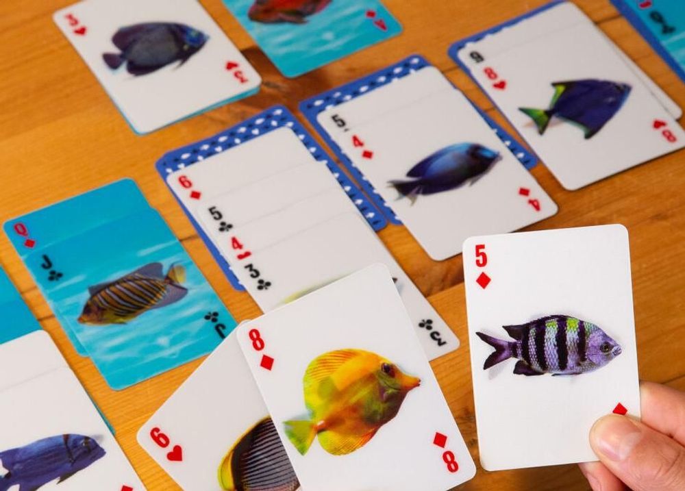 Toys - FISH 3D CARDS - KIKKERLAND