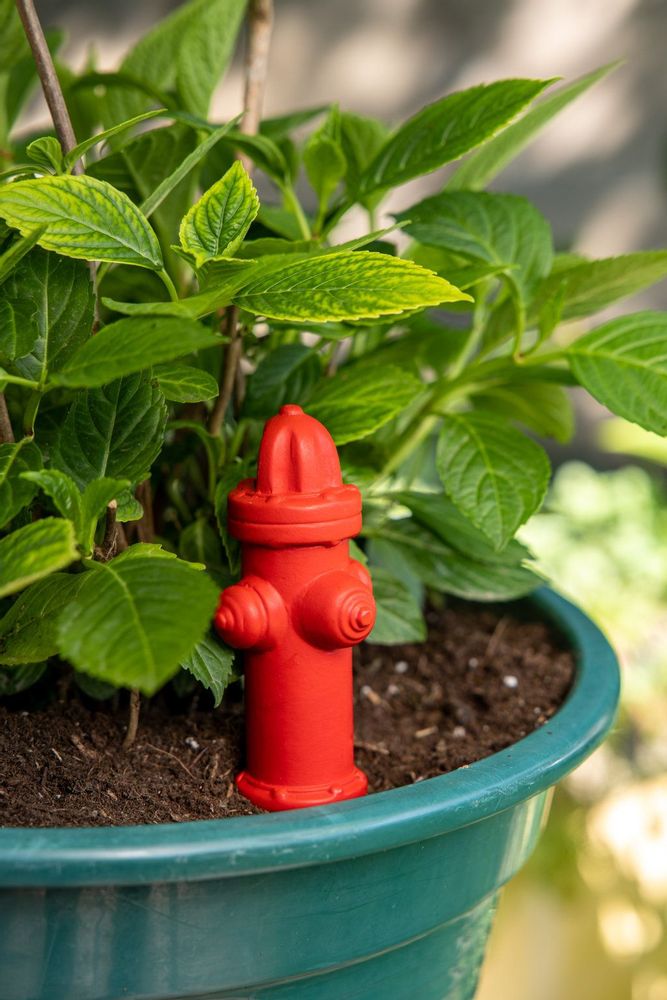 Floral decoration - SELF-WATERING GNOME - FISURA