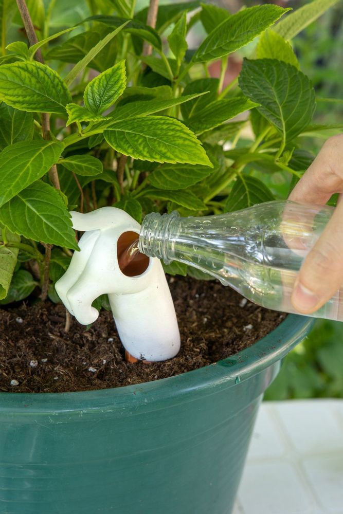 Floral decoration - SELF-WATERING GNOME - FISURA