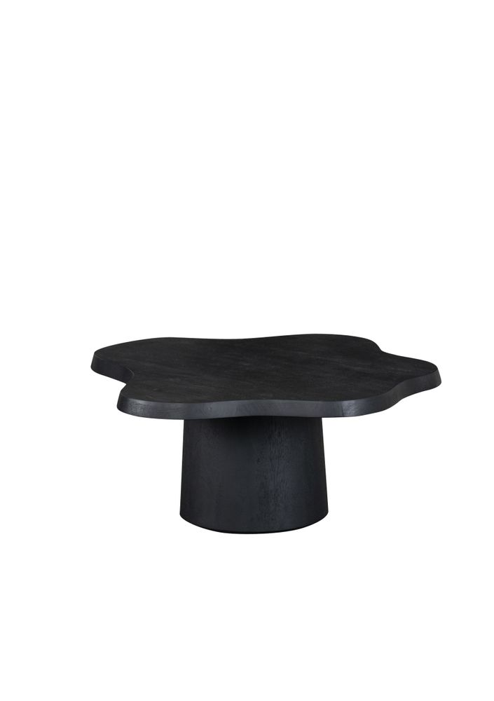Coffee tables - NEWTON COFFEE TABLE - LIFESTYLE HOME COLLECTION