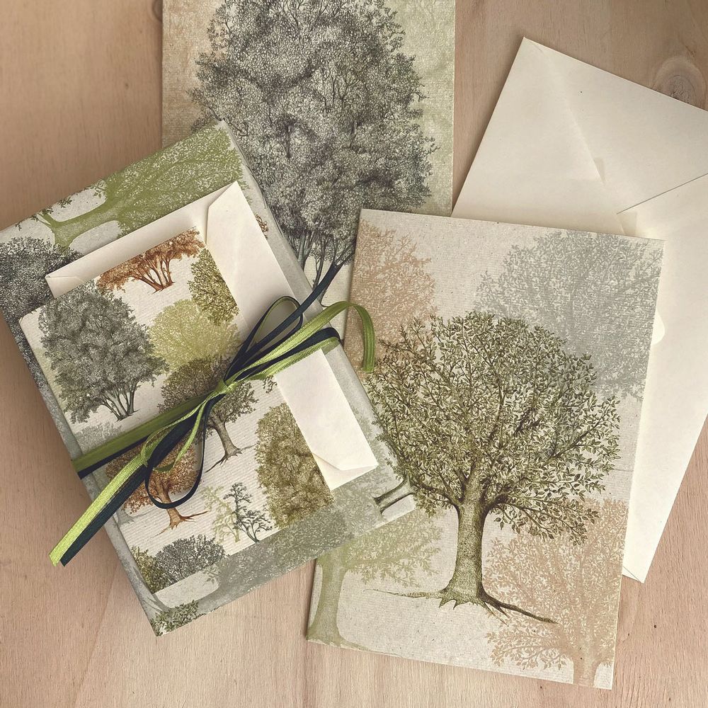 Card shop - Tassotti greeting cards - TASSOTTI - ITALY