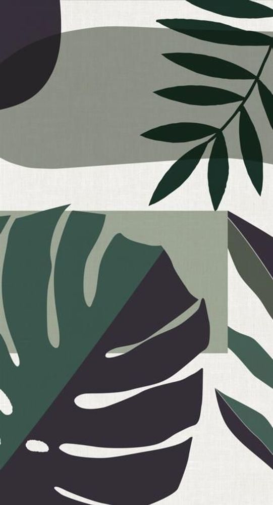 Wallpaper - Monstera Deliciosa Panoramic Wallpaper - EASY D&CO BY HD86
