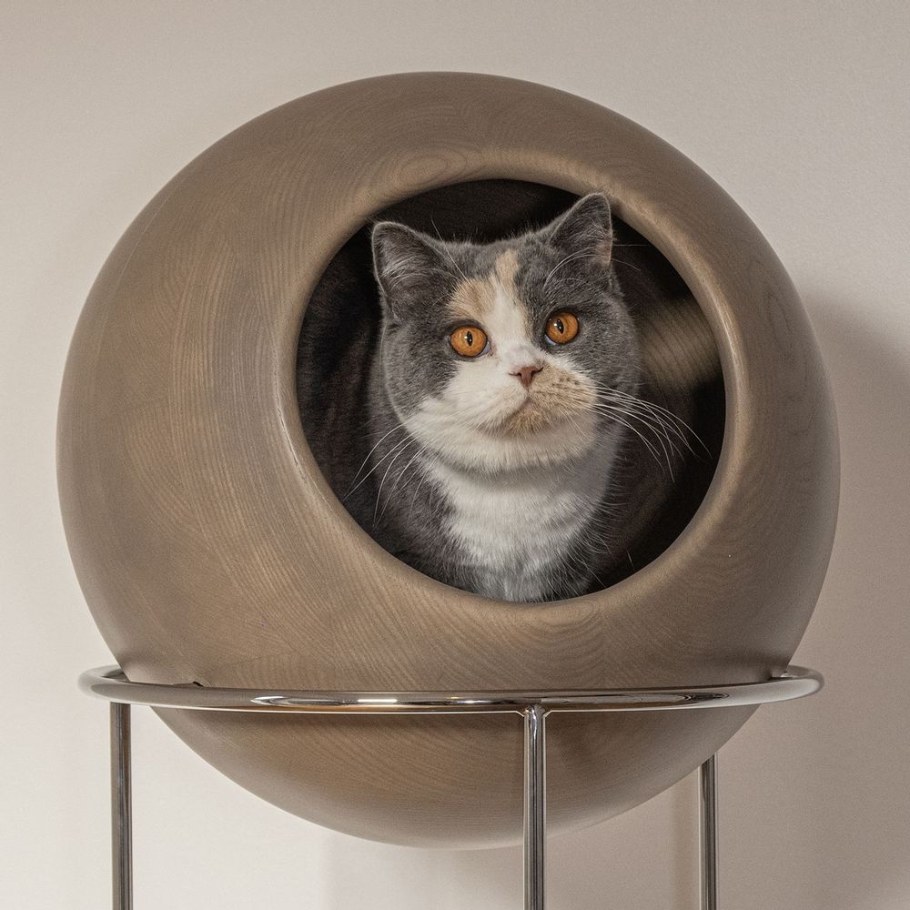 Pet accessories - ZENITH SOLID WOOD CAT TREE - BOGAREL