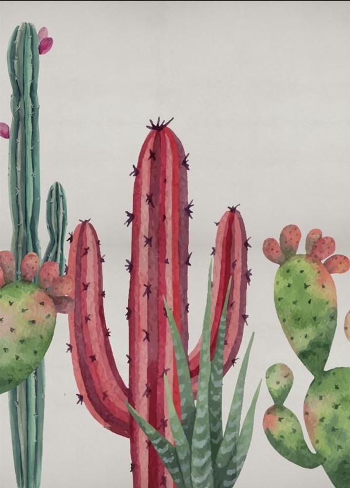 Wallpaper - Cactus Panoramic Wallpaper - EASY D&CO BY HD86