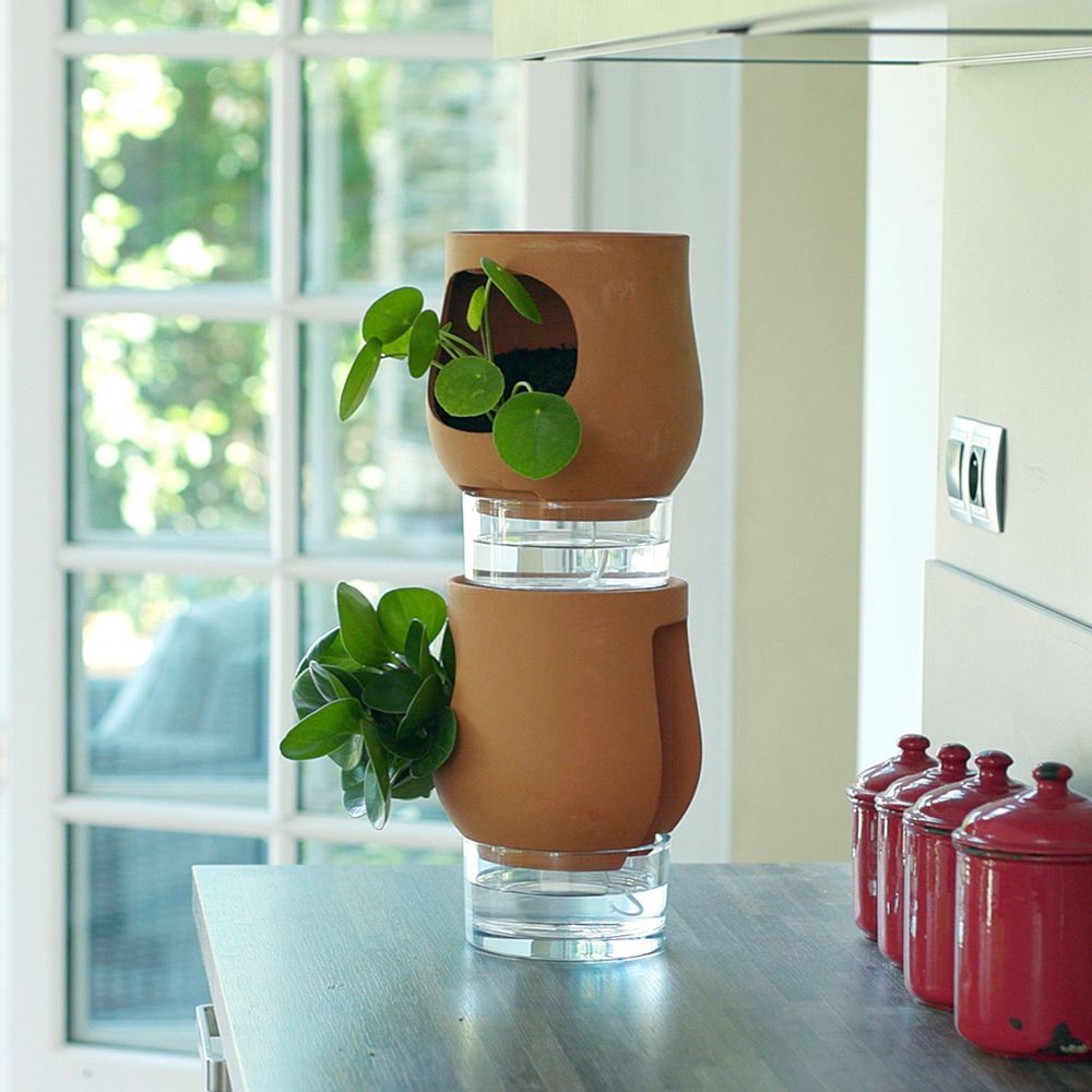 Meubles de cuisines  - Les Ayos: colonnes végétales autonomes - LUO