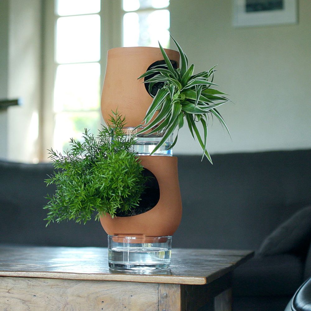 Meubles de cuisines  - Les Ayos: colonnes végétales autonomes - LUO