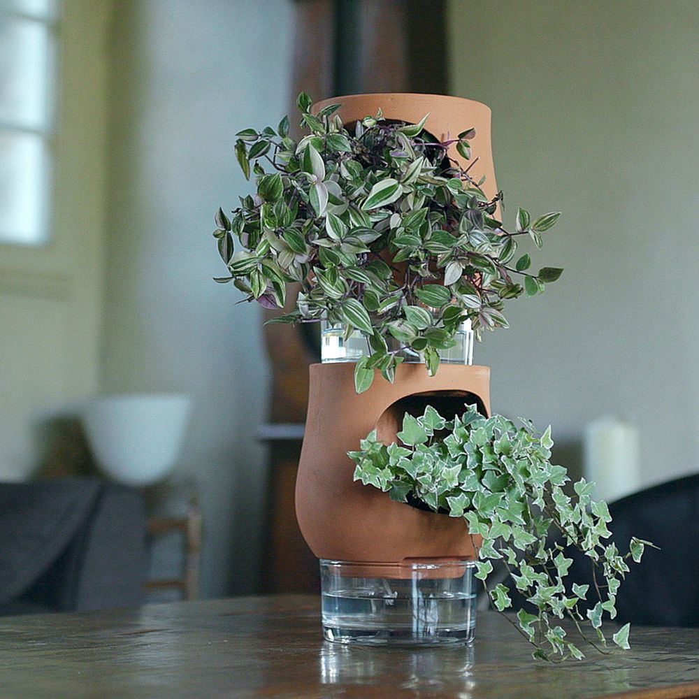 Meubles de cuisines  - Les Ayos: colonnes végétales autonomes - LUO