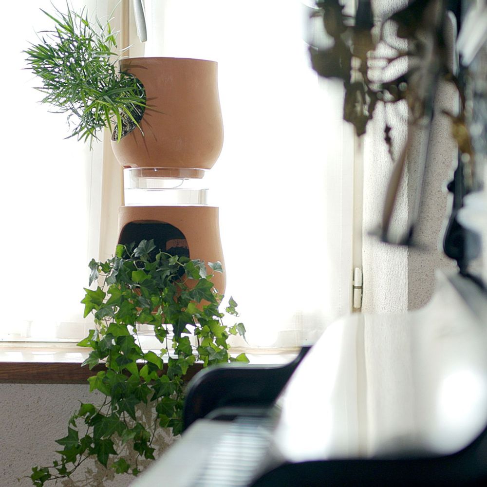 Meubles de cuisines  - Les Ayos: colonnes végétales autonomes - LUO