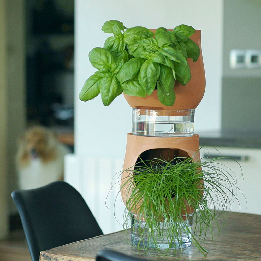 Meubles de cuisines  - Les Ayos: colonnes végétales autonomes - LUO