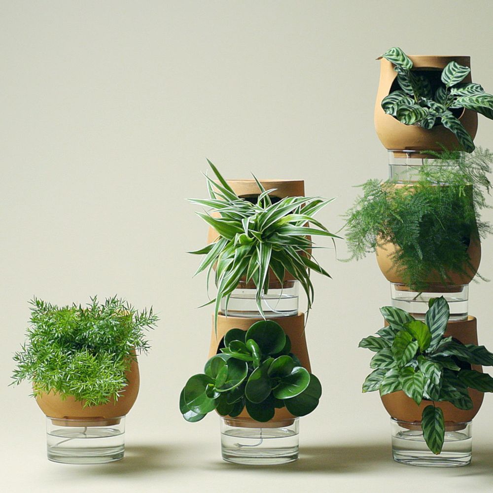 Meubles de cuisines  - Les Ayos: colonnes végétales autonomes - LUO