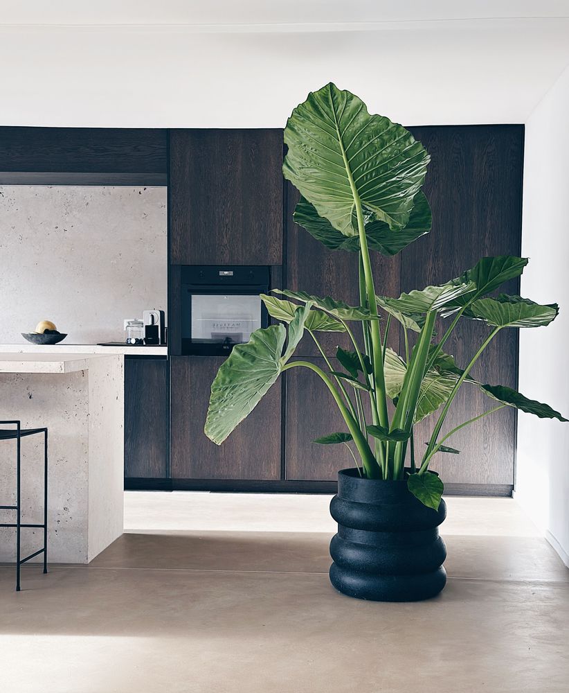 Floral decoration - OUR GARDEN AND HOME ACCESSORIES | INDOOR AND OUTDOOR - D&M DECO / PAJUDESIGN