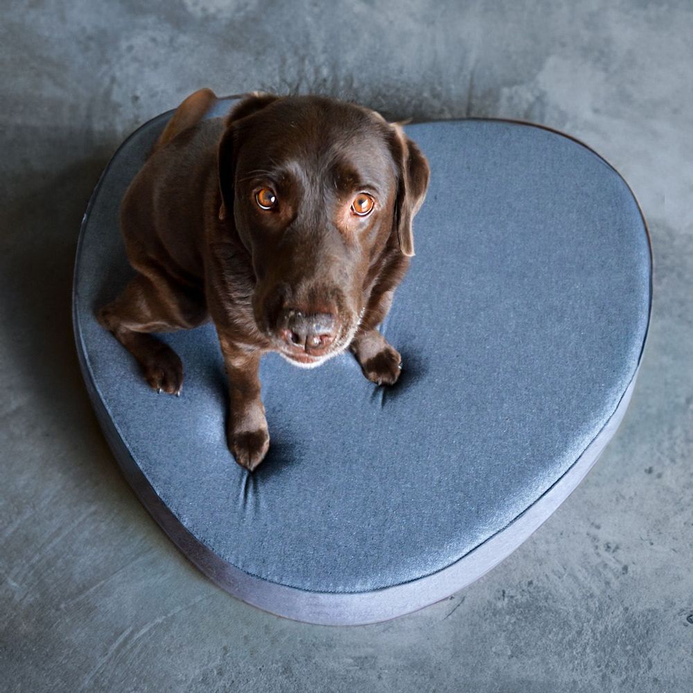Objets design - PANIER POUR CHIEN OU CHAT COCOON - BOGAREL