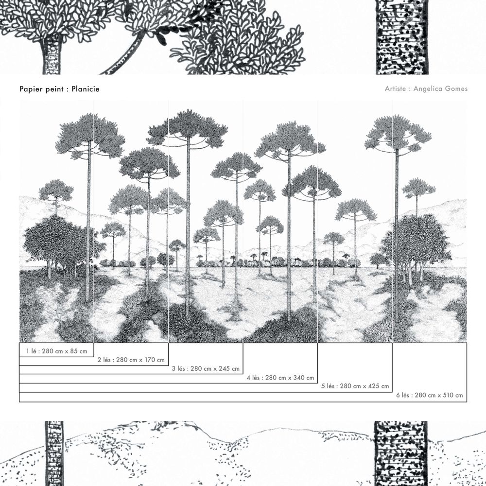 Papiers peints - Papier peint panoramique noir et blanc - Planicie - Paysage plaine avec arbres - LA TOUCHE ORIGINALE