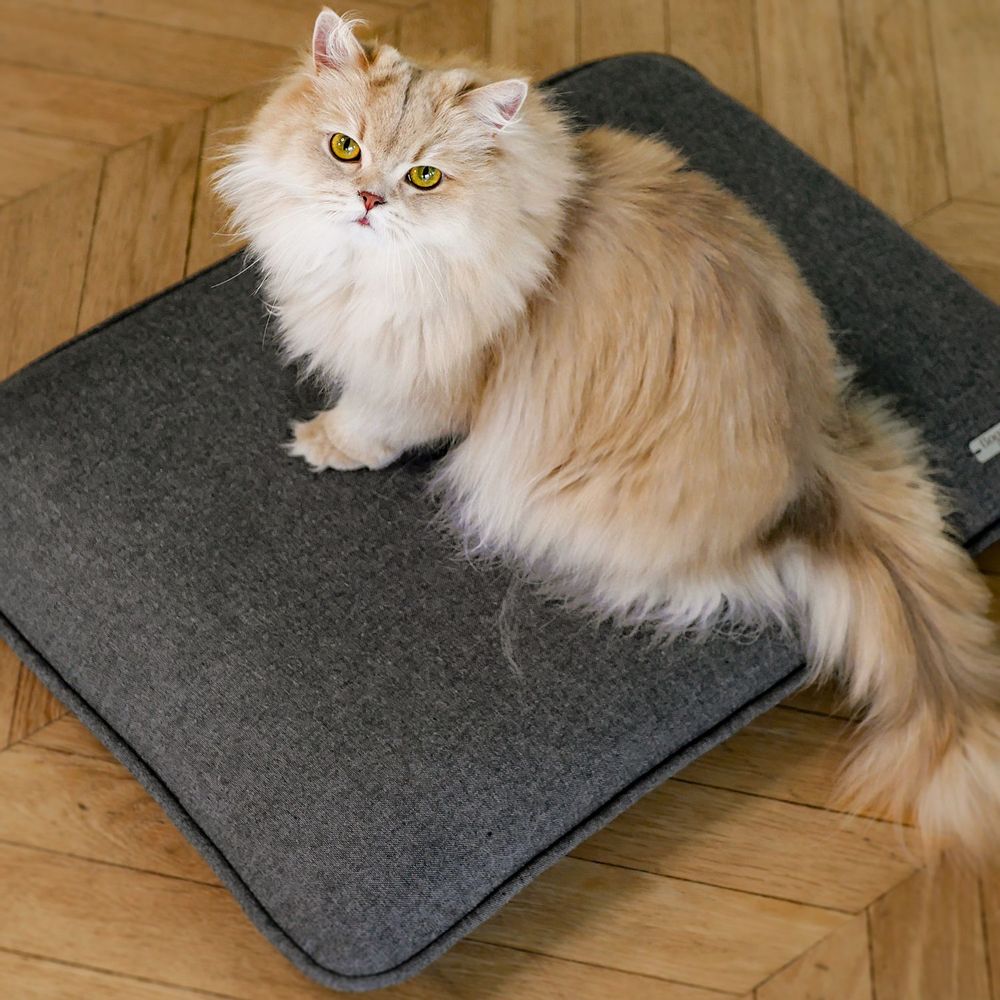 Design objects - EDEN DOG OR CAT BASKET - BOGAREL