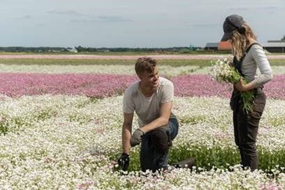 Décorations florales - Bouquet Trendy Vibes - LAMBOO DRIED & DECO