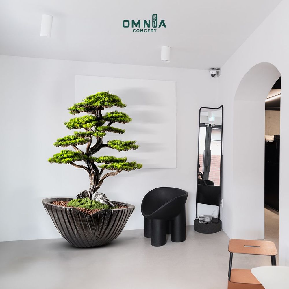 Objets de décoration - Bonsaï artificiel décoratif fait main  - Algenib Thuja - 5 - OMNIA CONCEPT