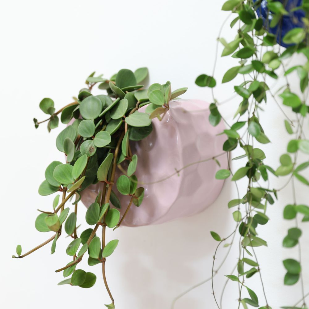 Vases - Planter Clay - &KLEVERING