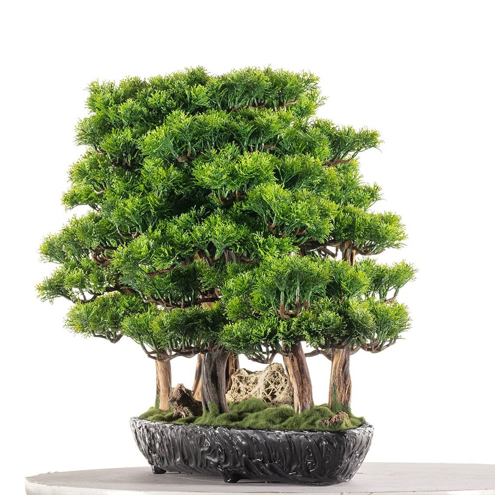 Objets de décoration - Navis Bonsai Garden - Bonsaï artificiel décoratif fait main - OMNIA CONCEPT