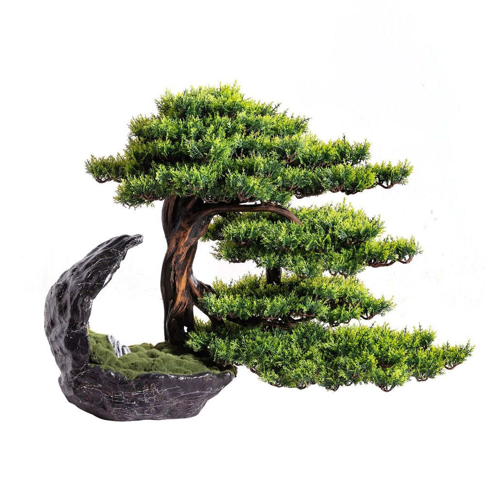 Objets de décoration - Deimos Bonsai Artificiel décoratif fait main. - OMNIA CONCEPT