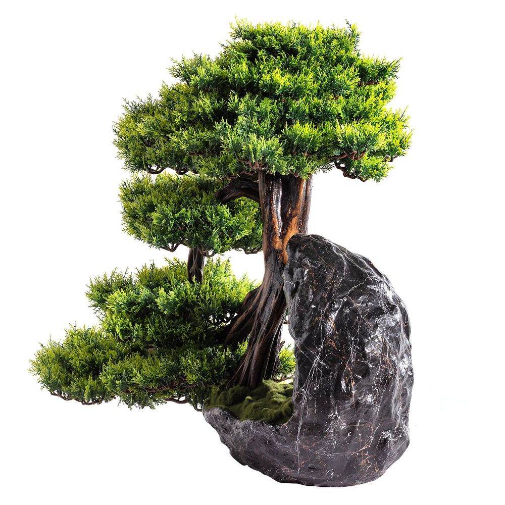 Objets de décoration - Deimos Bonsai Artificiel décoratif fait main. - OMNIA CONCEPT