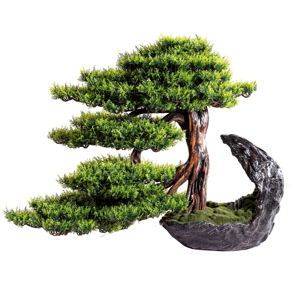 Objets de décoration - Deimos Bonsai Artificiel décoratif fait main. - OMNIA CONCEPT