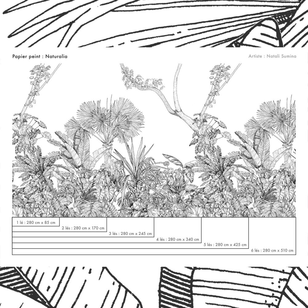 Papiers peints - Papier peint panoramique noir et blanc - Paysage naturel - Naturalia - LA TOUCHE ORIGINALE