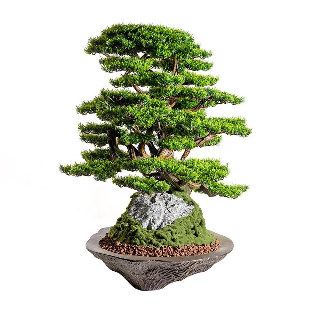 Kursa Thuja - 4 - High quality handmade artificial bonsai - Decorative  objects - OMNIA CONCEPT - Other - Wood - Plastic - Polyester | MOM