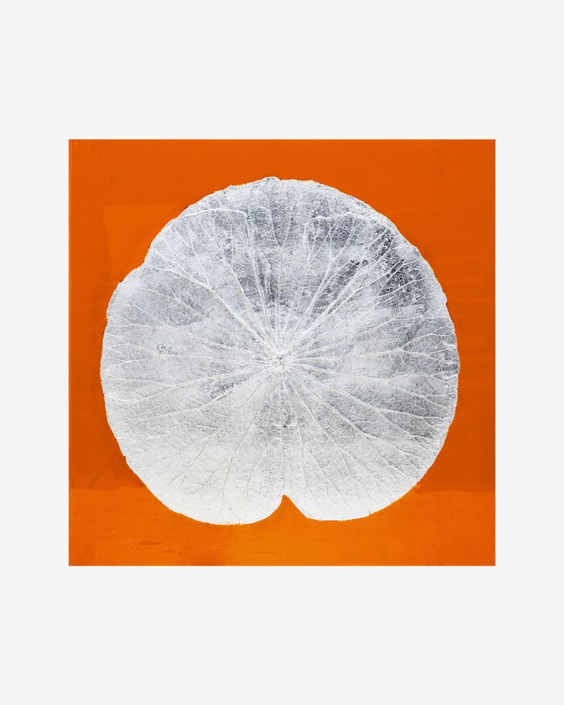 Tableaux - Feuille de lotus - SO SKIN - IDASY