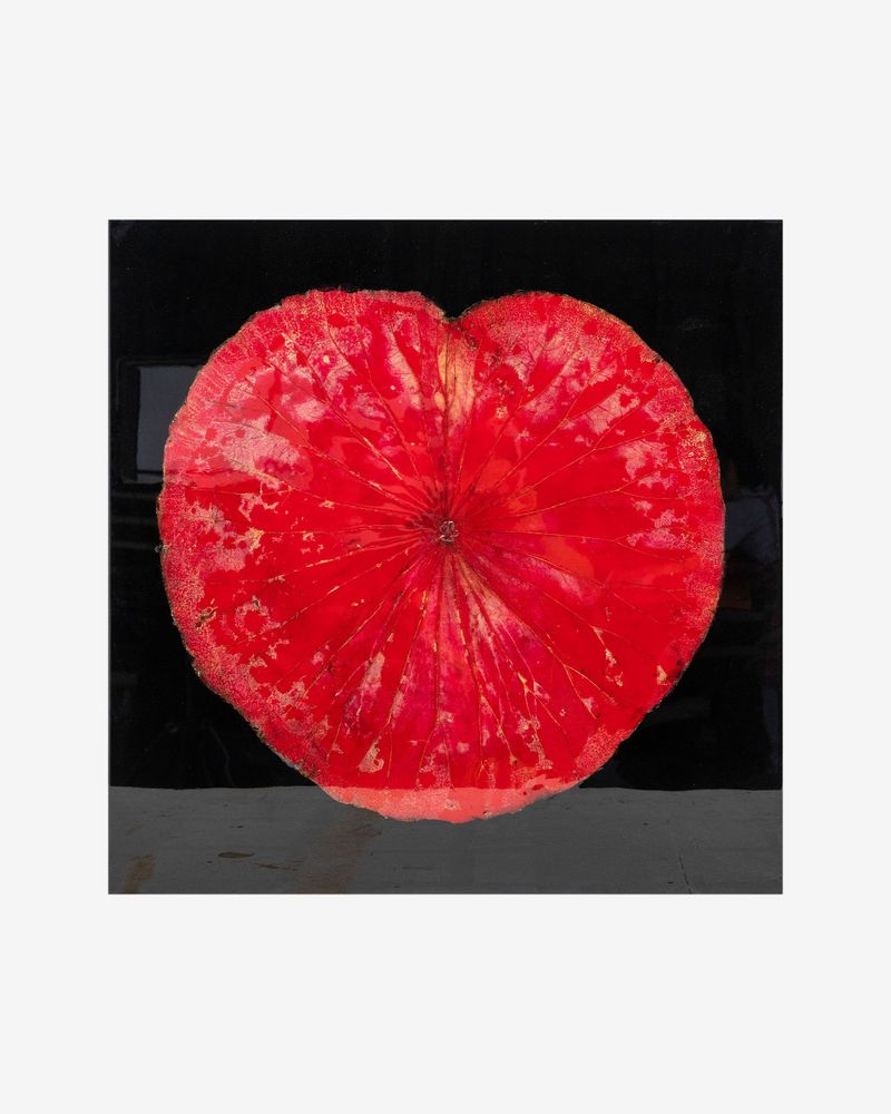 Paintings - Lotus leaf - SO SKIN - IDASY