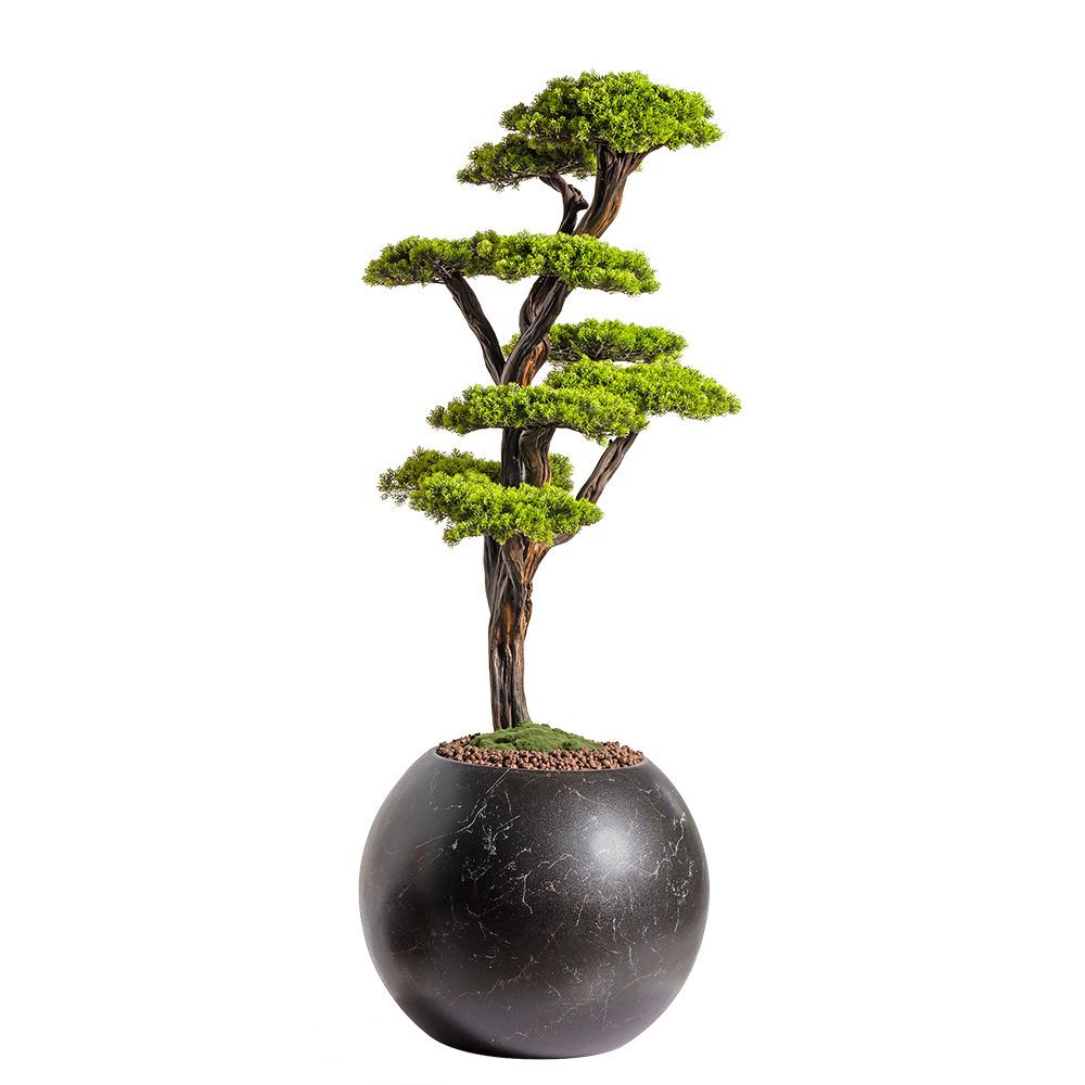Objets de décoration - Mira Bonsai - 8 - fait main créé à partir d'un vrai tronc d'arbre. - OMNIA CONCEPT