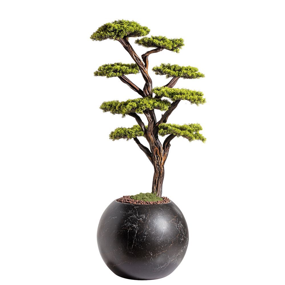 Objets de décoration - Mira Bonsai - 8 - fait main créé à partir d'un vrai tronc d'arbre. - OMNIA CONCEPT
