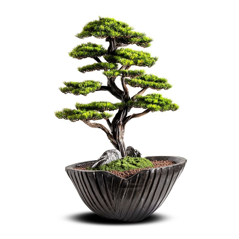 Objets de décoration - Bonsaï artificiel décoratif fait main  - Algenib Thuja - 5 - OMNIA CONCEPT