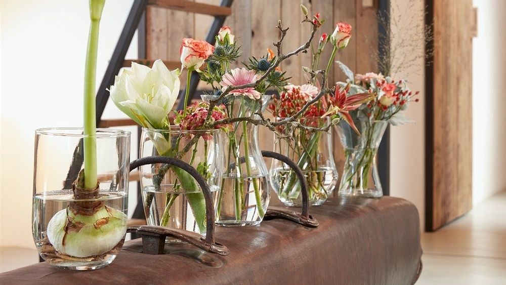 Vases - Exclusive vases - HAKBIJL GLASS / MARS &MORE