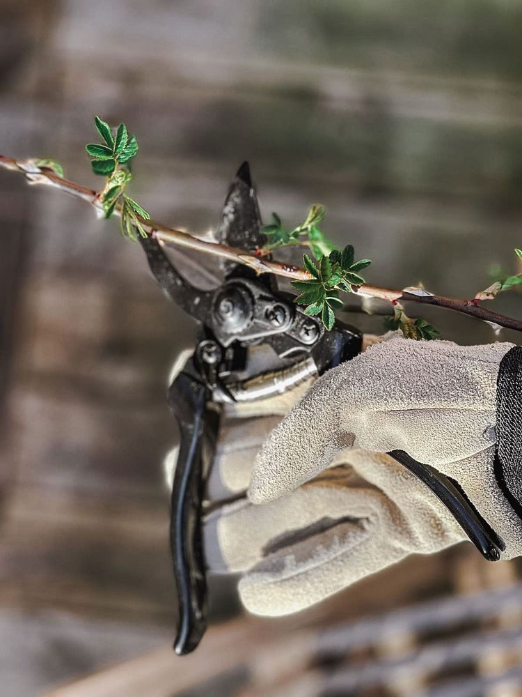 Garden accessories - Garden Gloves Deluxe - M - BY BENSON