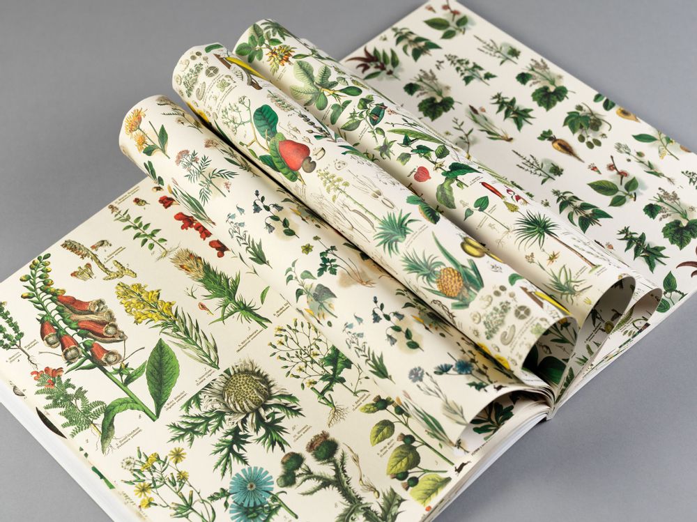 Papeterie bureau - Livret de papiers cadeaux et créatifs - PEPIN PRESS B.V.