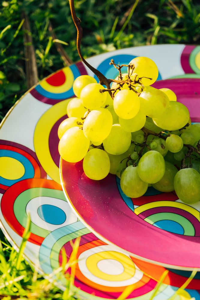 Design objects - Rainbow Collection - HOME BY KRISTY