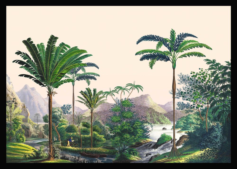 Autres décorations murales - Illustration panoramique Manicaria - PARADISIO IMAGINARIUM