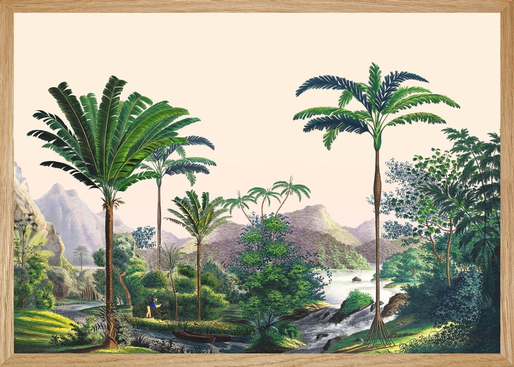 Autres décorations murales - Illustration panoramique Manicaria - PARADISIO IMAGINARIUM