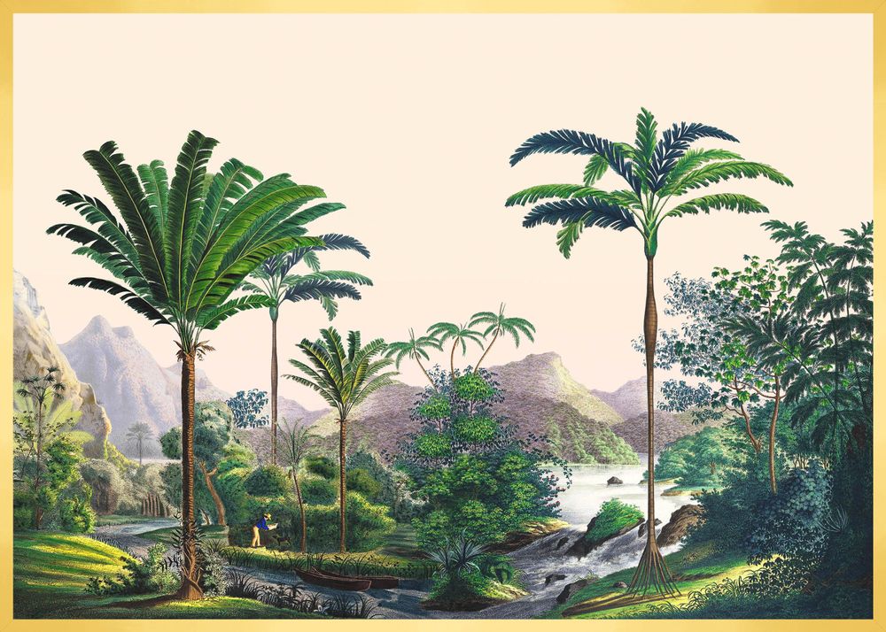 Autres décorations murales - Illustration panoramique Manicaria - PARADISIO IMAGINARIUM