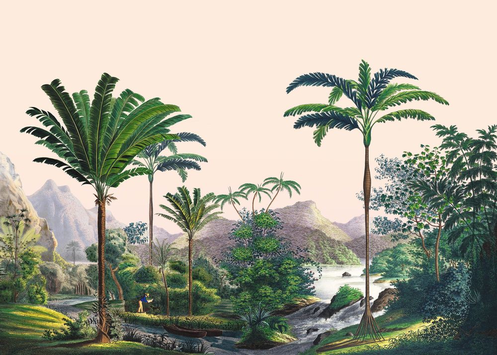 Autres décorations murales - Illustration panoramique Manicaria - PARADISIO IMAGINARIUM