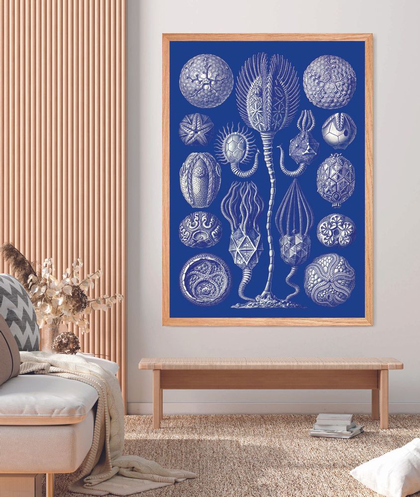 Decorative wall frescoes - Wall art : Creatures of the abyss - PARADISIO IMAGINARIUM