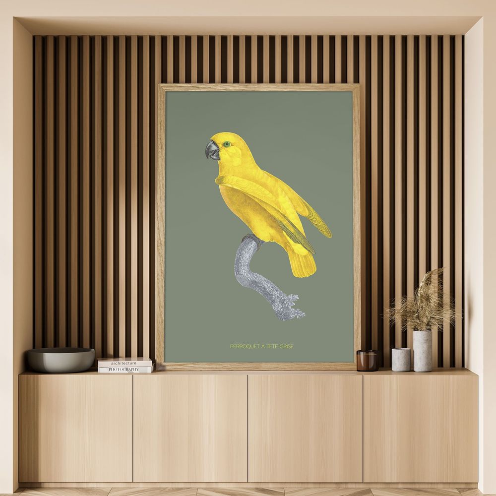 Other wall decoration - Wall art : Grey Headed Parrot khaki-coloured background - PARADISIO IMAGINARIUM