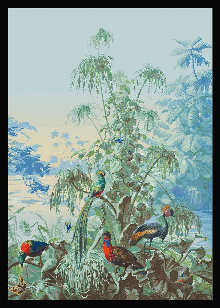 Autres décorations murales - Illustration Le Brésil : le bal des oiseaux - PARADISIO IMAGINARIUM